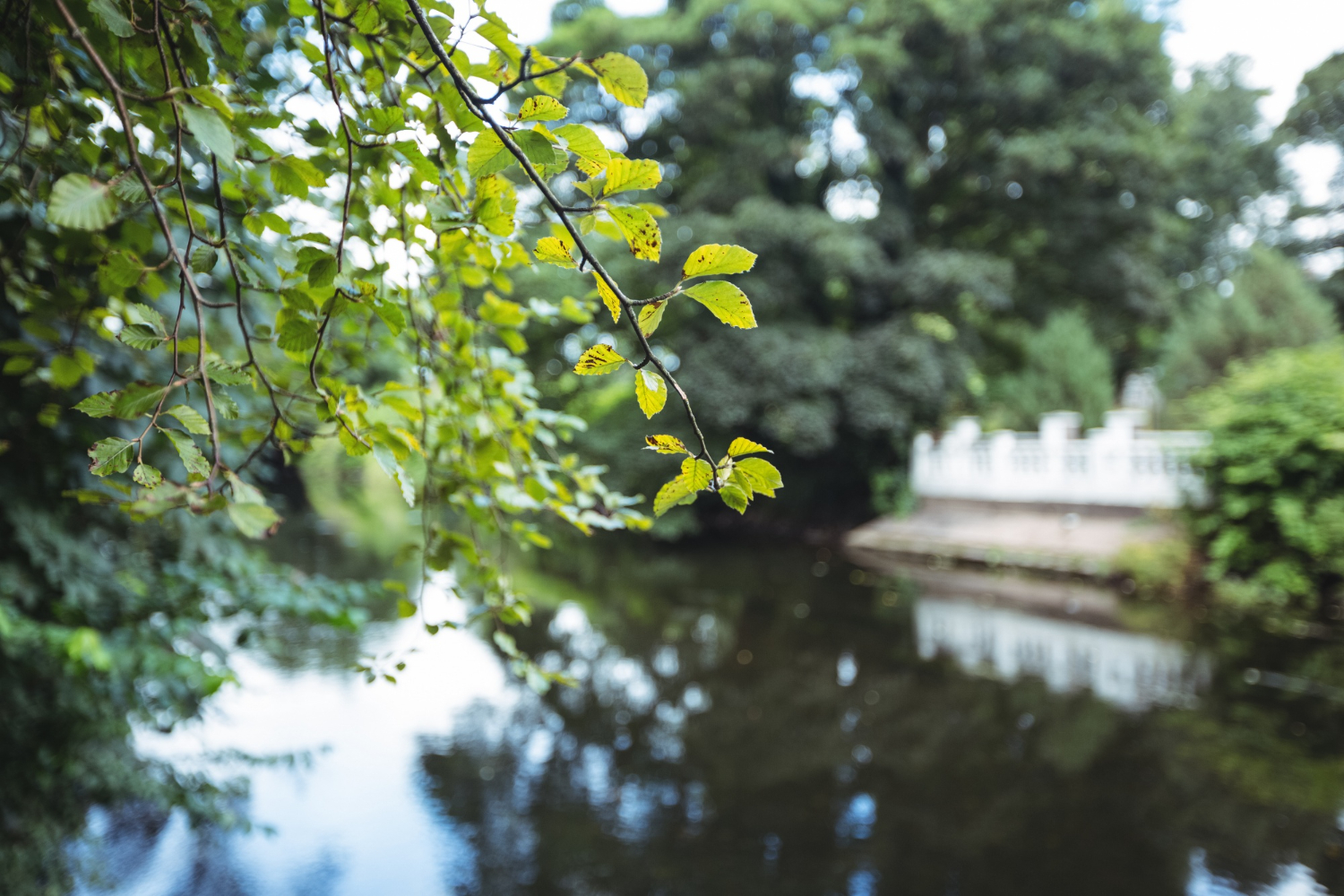 Un impact environnemental réduit et une valorisation de votre engagement RSE